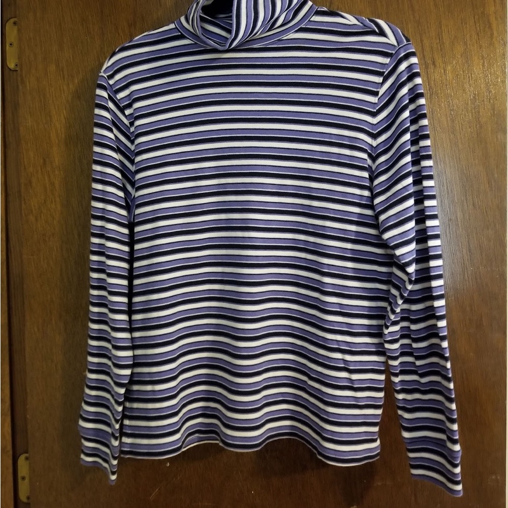 Striped Turtleneck Long Sleeve Top